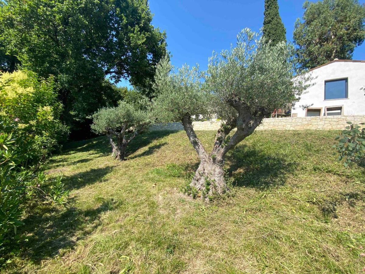 A Casa Bianca Ξενοδοχείο Σαιν-Πολ-ντε-Βανς Εξωτερικό φωτογραφία