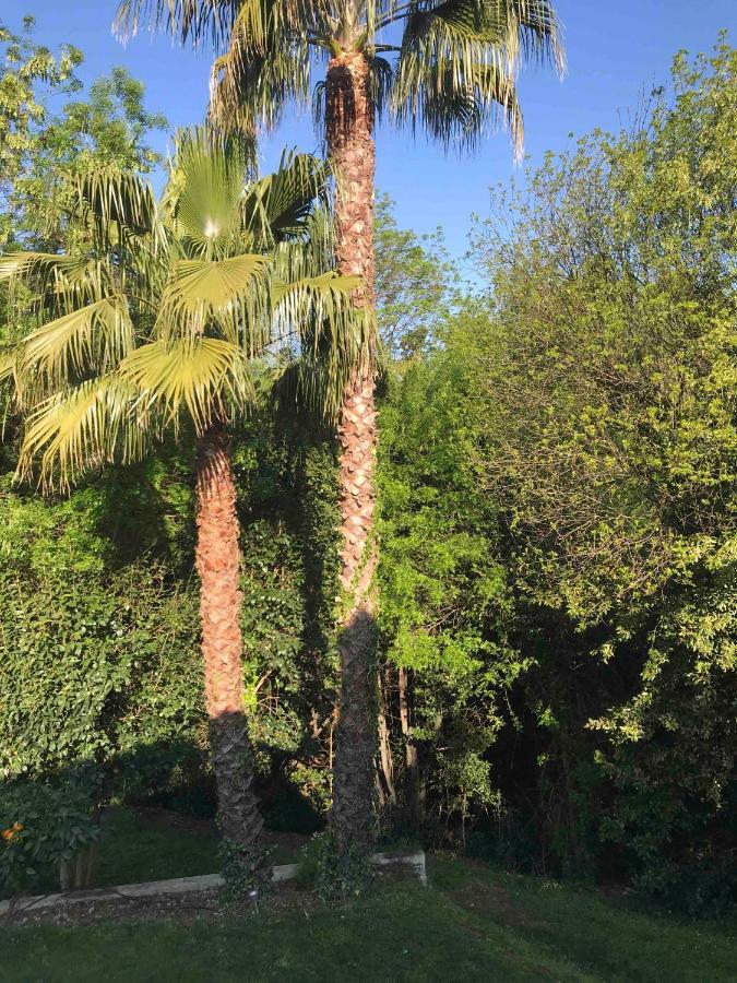 A Casa Bianca Ξενοδοχείο Σαιν-Πολ-ντε-Βανς Εξωτερικό φωτογραφία